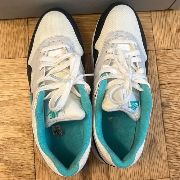 Air Max 1