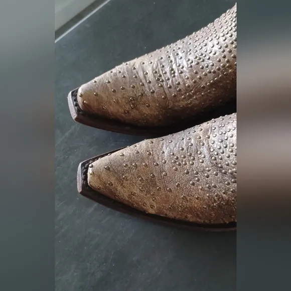 Corral Glitter Inlay Boots