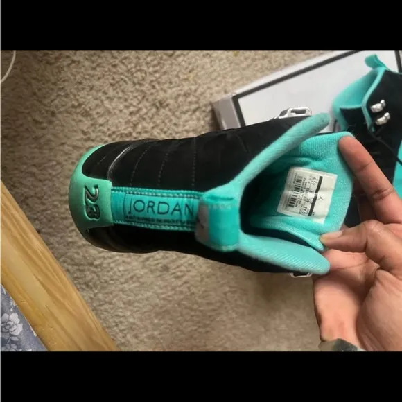 Jordan Teal  &amp; Black Jumpman 12s
