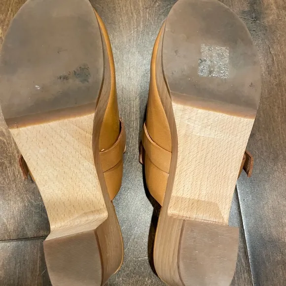 Madewell Monique Buckle Clog NWOT