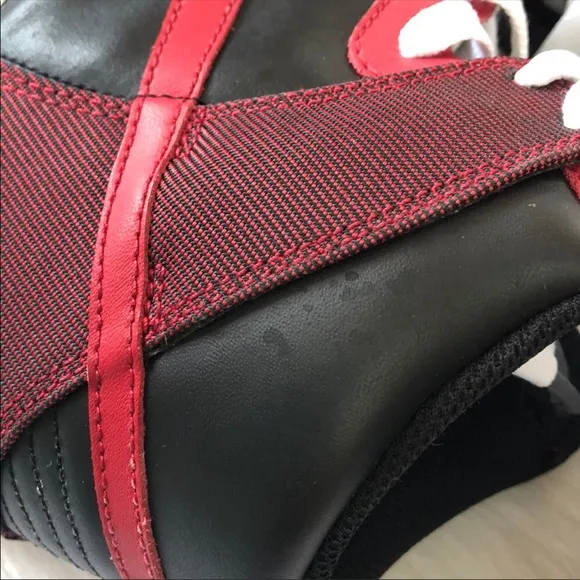 Nike Dunk Hi High Top Red &amp; Black Sneakers