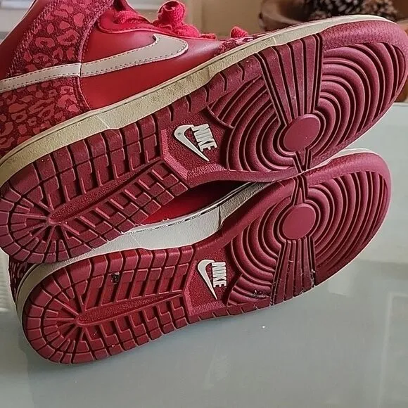 Nike Dunk Hi Skinny Sneakers