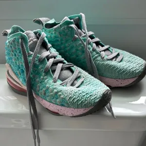 Nike LeBron Sneakers