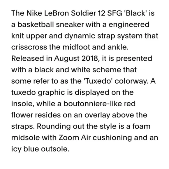 Nike LeBron Soldier 12 SFG Black Rose high top sneakers Size 10