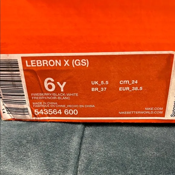 Nike LeBron Vibrant Pink and Black Sneakers