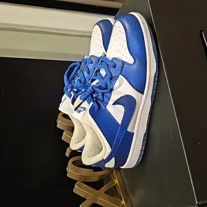 Racer blue and whitr dunks