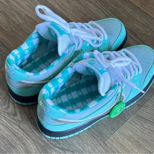 Size 9.5 -Nike SB Dunk Tiffany color way