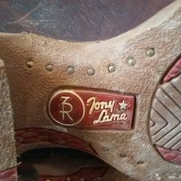 Tony Lana Chisel Toe Cowboy Boots