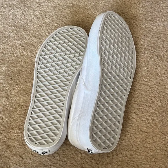 Vans hand painted snake and frog slip on shoes.