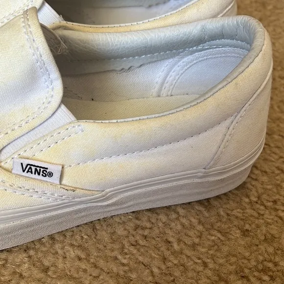 Vans hand painted snake and frog slip on shoes.