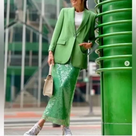 ZARA Sea Green Sequin Lace Pencil Midi Skirt
