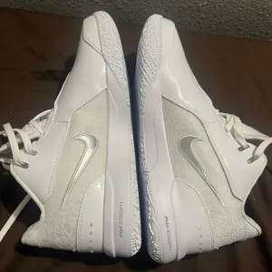 ZM LeBron James NXXT GEN AMPD